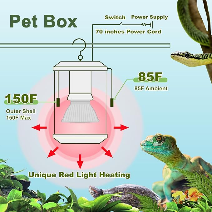 SYSAI Reptile Heat Lamp with Thermostat - All-in-One 50W Heater & Red Night Bulb Combo Kit for Snake, Bearded Dragon, Turtle, Tortoise Tank. Includes Bite Proof Cord & Hanger