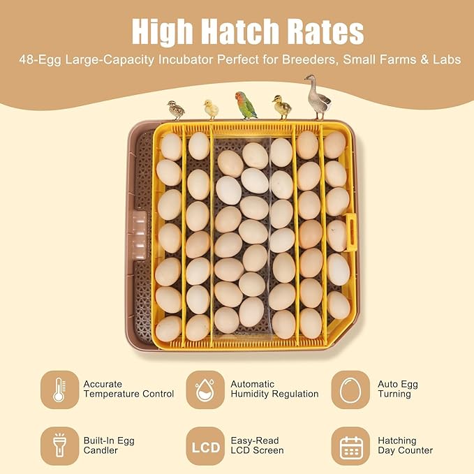 Series IV - 48 Egg Incubator for Breeders, Sensor-Based Precise Humidity & Temp Control, Chick Separator, Adjustable Egg Spacing, Auto Turn & Auto Stop, Preset Incubation Days, Candler