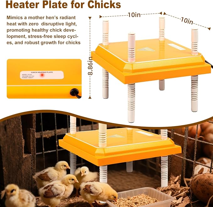 Chick Brooder Heating Plate,10"x10" Heat Plate for Chicks with Thermostatic Anti-Slip Adjustable Height & Angle,15 Watts Brooder Heater for Chicks Warm Like Mother Hen