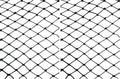 Noa Store Nylon Mesh Anti Bird Netting [25x50] ft for Fruit Trees, Garden, Plant, Tree Protectors, Aviary and Poultry Netting (Pack of 2)