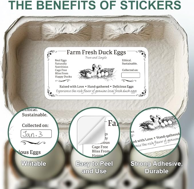 160 Pcs Duck Eggs Carton Labels, Farm Fresh Eggs Sticker Rectangle Egg Stickers PET Adhesive Egg Packaging Stickers for Box Container Carton Farm Supplies, 2x4 Inch