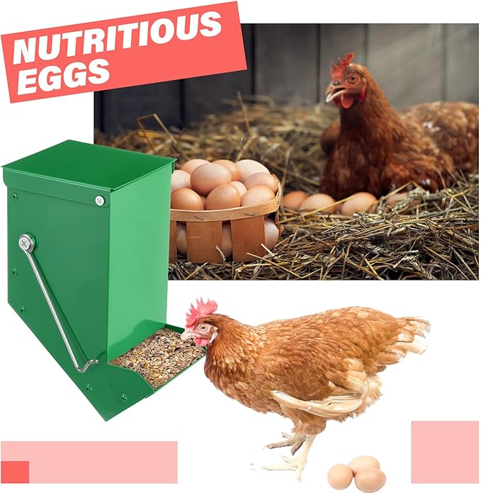 Zonon 2 Pcs Chicken Oyster Shell and Grit Feeder Metal Automatic Feeder with Lid Chicken Coop Accessories Multiple Installation Methods for Hens Chicks Cages Wall Pillar(Green and Red)
