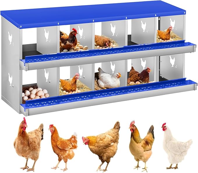 Chicken Nesting Box,10 Compartments Nesting Box for Chickens, Two-Tier Galvanized Metal Wall Mount Chicken Egg Laying Box with Large Vented Holes for Easy Egg Collection ﻿
