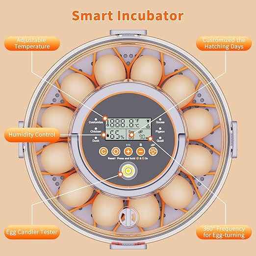 12 Egg Incubators for Hatching Eggs with Automatic Egg Turning & Humidity Control Intelligent Temp Eggs Candler for Chicken Quail Duck etc. Eggs, Suit for Beginner Backyard Hobbyist Students Education