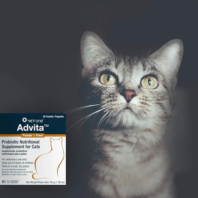 VetOne Advita Powder Probiotic Nutritional Supplement for Cats - 30 (1 gram) packets