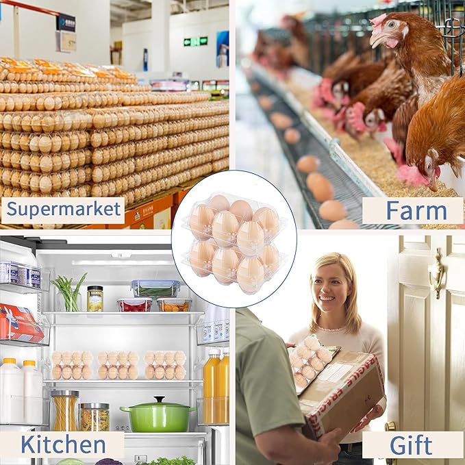 Plastic Clear Egg Carton for 6 Eggs,12Pack Egg Tray Reusable Medium Size Egg Cartons Perfect for Egg Trader Market Farmers Display Farmer Camping Picnic Travel Storage-Holds Medium 6Eggs Securely
