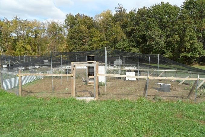 Poultry Netting 1" or 2" Mesh Heavy Knotted Nets Aviary Gamefowl Quail Chicken Bird Block Net Long Lasting Break/Burst 85/245 lb Polyethylene 8-10 Year Lifespan (25' X 50', 2)