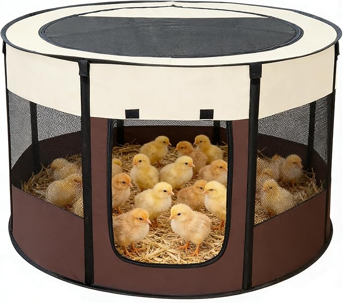 Brooder Box for Chicks, Chicken Brooder Playpen with Dual Door, Breathable Mesh Ventilation, Pop-Up Baby Chicken Pen Supplies Brooding Up to 15-20 Baby Chicks Ducks Quails
