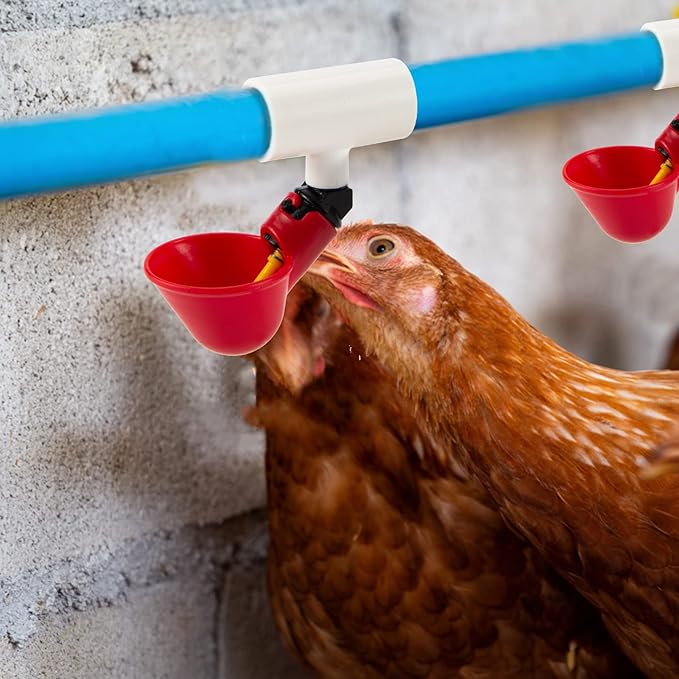 20 Pack Chicken Waterer PVC Tee Fittings - Fully Automatic for Threaded Chicken Waterer Nipples/Cups/Feeders/Poultry Water Drinker, White