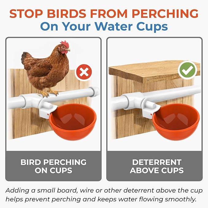 Lil'Clucker Large Automatic Chicken Waterer Cups with 1/2" PVC Tee Fittings - Chicken Water Cups, Chicken Water Feeder, for Chicks, Duck, Goose, Turkey - Poultry Waterer Feeder Kit (Orange, 8-Pack)
