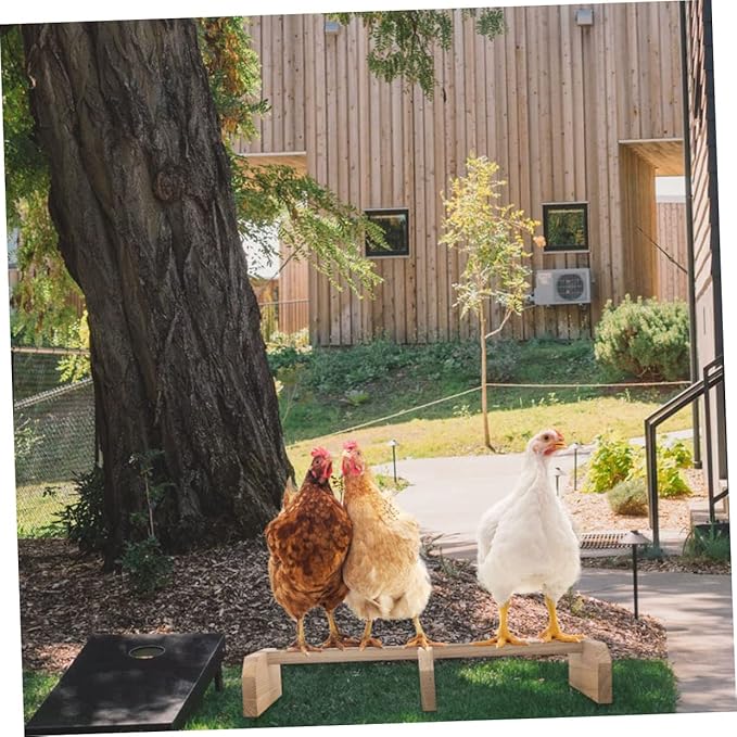 HANABASS 1piece Stand Chicken Toy Wooden Perch Rack for Hens Safe and Pet Play Stand for Parrots and Birds Chicken Roosting Bar for Coop Use
