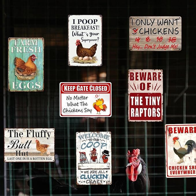 8 Pack Chicken Coop Accessories, Funny Chicken Coop Metal Signs Outdoor Decor Chickens Farm Personalized Tin Sign Chicken Gifts For Lovers House Decor 8×12 Inch