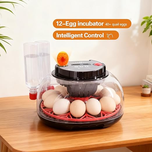 12 Eggs Incubator with Humidity Display and Candler, Automatic Egg Turner, for Hatching Chickens