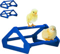 Roosting Perch for Baby Chickens, Chick Brooder Coop Training Toy Accessory, Easy Click Together Assembly, Durable Plastic, Mix and Match Colors, USA Made (Dark Blue, 3 Pack)