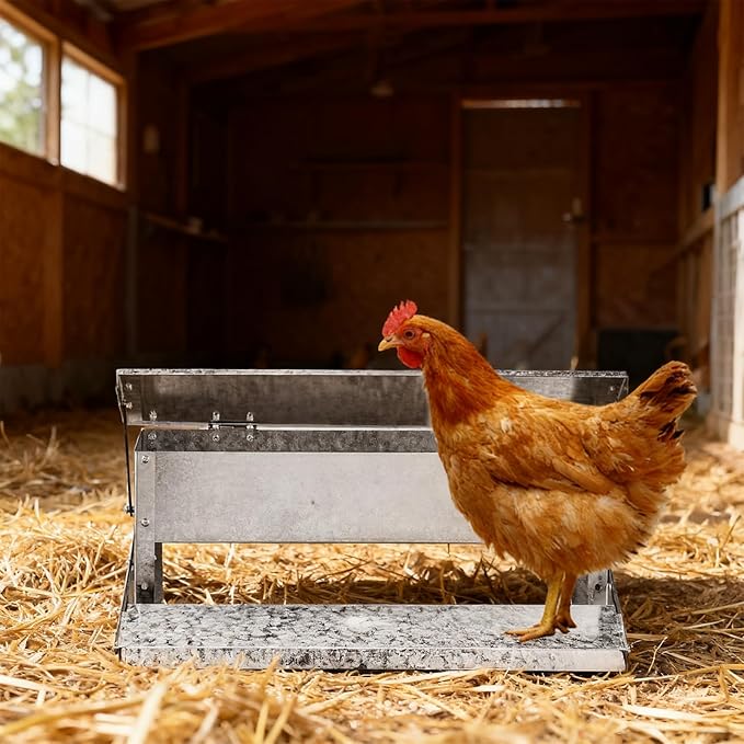 Large Capacity Chicken Grit and Oyster Shell Feeder,Rodent Proof No Waste Treadle Chicken Feeder,Galvanized Metal Poultry Duck Feeders,with Weatherproof Lid,for Chickens Hens Ducks (Silver)