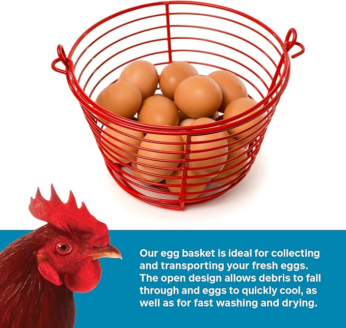 Prevue Pet Products 7.88 Inch Red Egg Basket 468
