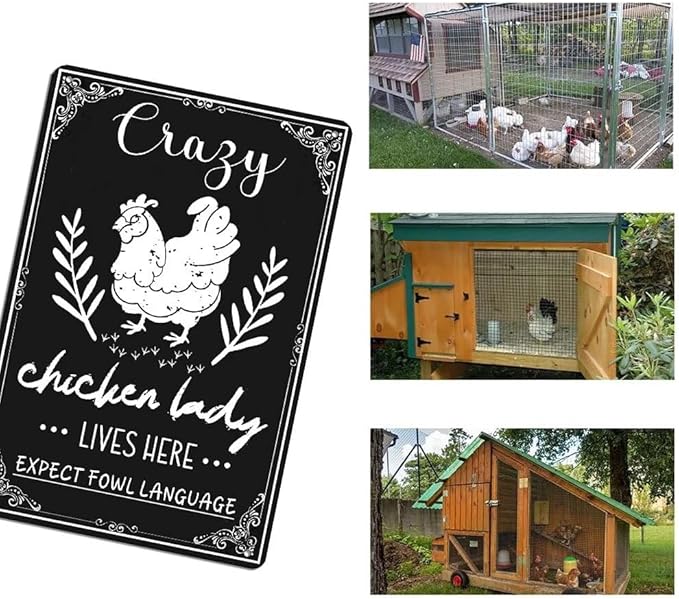 Funny Chicken Decorations for Coop -Crazy Chicken Lady Lives Here Expect Fowl Language Tin Sign Farm Chicken Coop Metal Decor Chicken Sign Chicken Gifts 8x12 Inch