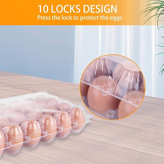 36 PCS Plastic Egg Cartons Cheap Bulk 24 Count Clear Blank Egg Cartons with Free Labels Holds up to 24 Eggs Securely Reusable Egg Carton for Family Pasture Chicken Farm Market Display, 4x6 Grids