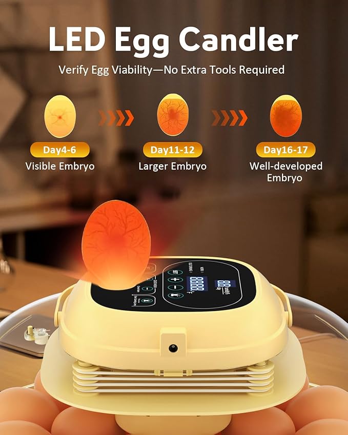 18-33 Egg Incubator for Hatching Eggs, Automatic Egg Turning, Egg Candler, Temperature/Humidity Control, Incubator for Hatching Chicken, Quail, Duck Eggs, 360° Clear View for Home, Classroom, Farm