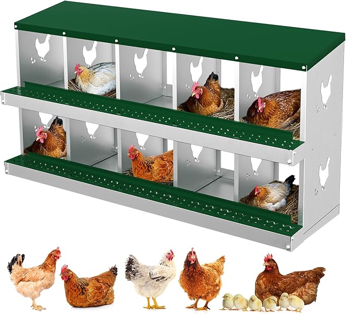GarveeLife Nesting Boxes for Chickens, 10 Compartment Chicken Nesting Box, Metal Chicken Laying Boxes with Perch, Secure Lid, Versatile Wall Mount or Free Standing for Hens, Green