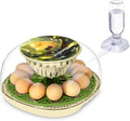 Smart Chicken Incubators for Hatching Eggs with Automatic Turner Small Poultry Duck Quail 12 Egg Incubator Temperature Control Display Hatcher Machine (Chirvy)
