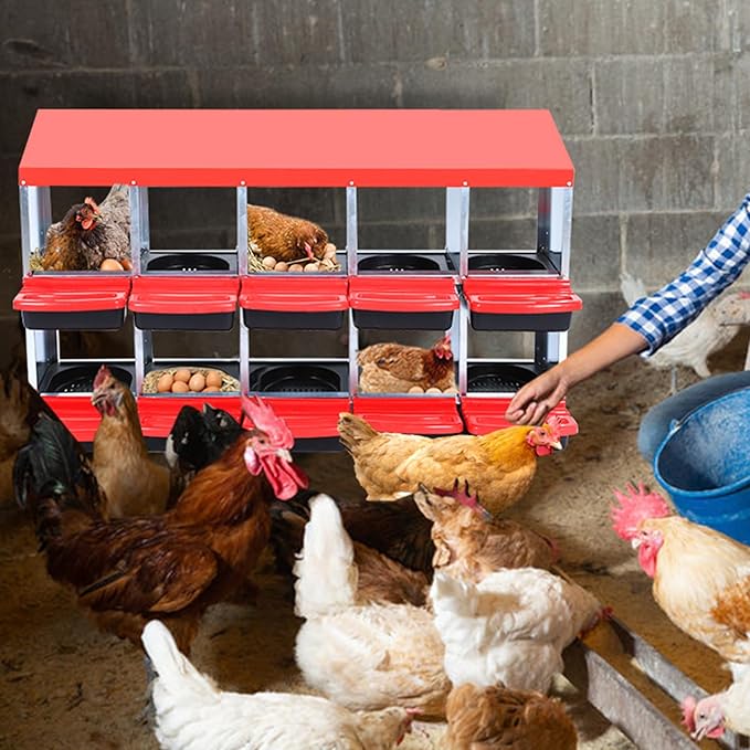 Metal Chicken Nesting Box, 10 Compartments, Unique Egg Collection Design, Red