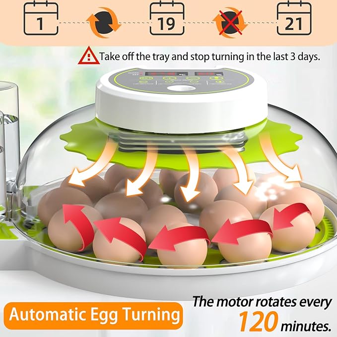 18/60 Egg Incubator with Humidity Display, Incubators for Hatching Eggs, Egg Candler, Automatic Egg Turner, Poultry Egg Incubator for Hatching Chicken Duck Goose Bird Quails- Green 2 Egg Trays