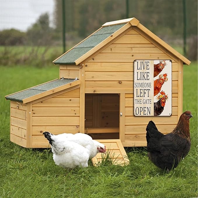 Chicken Coop Sign, Funny Chicken Coop Metal Signs, Outdoor Chicken Decor, Personalized Tin Sign, Chicken Gifts, Chicken House Decor 8 x12 Inches