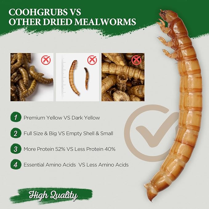 100% Natural Dried Mealworms, Non-GMO Meal Worms for Chickens, Ducks & Wild Birds, High Protein Chicken Treats & Bird Food, 2-lb Box