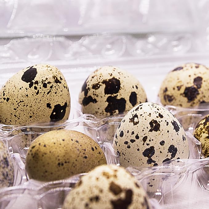 LEXININ 100PCS 15 Grid Quail Egg Cartons, Clear Quail Egg Containers, Plastic Quail Egg Holder Trays for Kitchen Storage