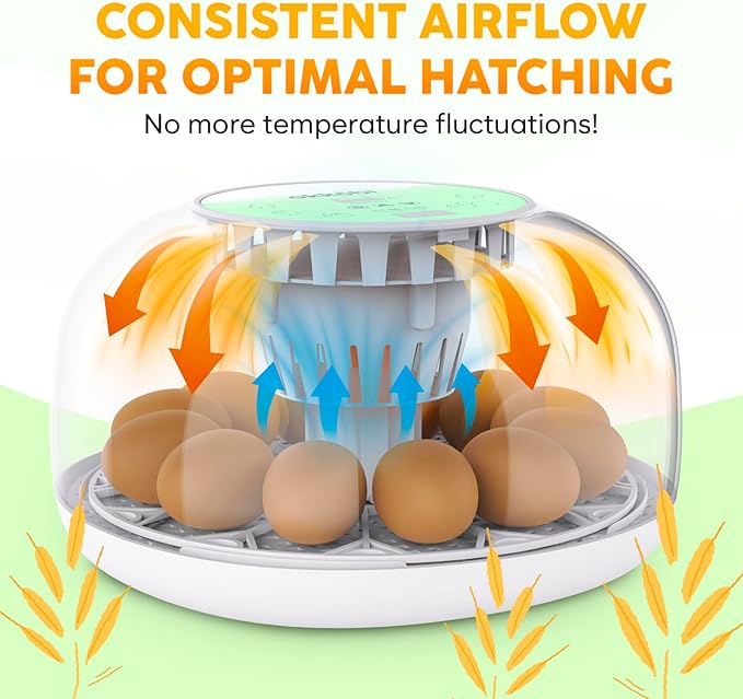 Okkobi M12 Egg Incubator with Automatic Turner and Humidity Control - 12/24 Eggs, 360° View, Easy to Use and Clean - Incubadora de Huevos de Gallina - Made for US - White & Green