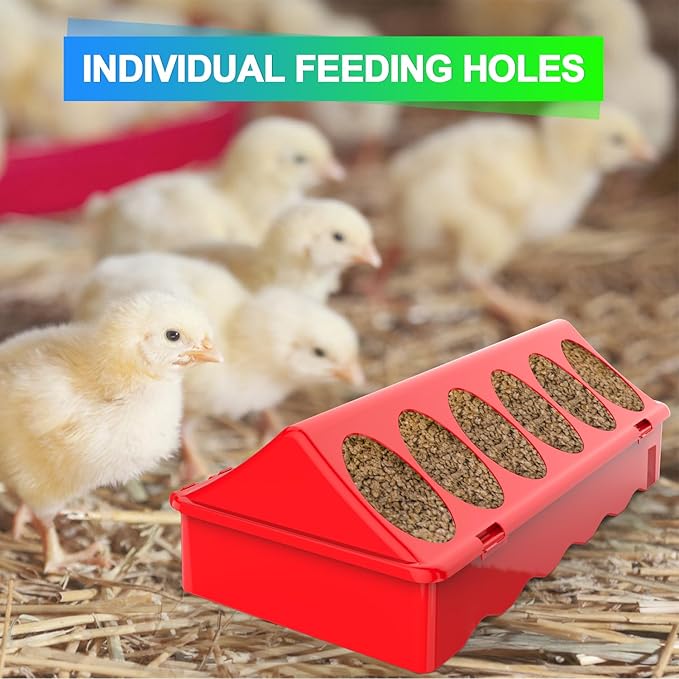 8Pcs Chick Feeder and Waterer Kit, Baby Chicken Supplies with Chicks Perch, Plastic Feeder Trough and 1.2L Waterer
