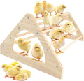 Large Wood Pine Chick Perch, Wooden Perch Chicks Toys for Coop and Brooder, Strong Chicken Jungle Gym Roosting Bar for Baby Chicks