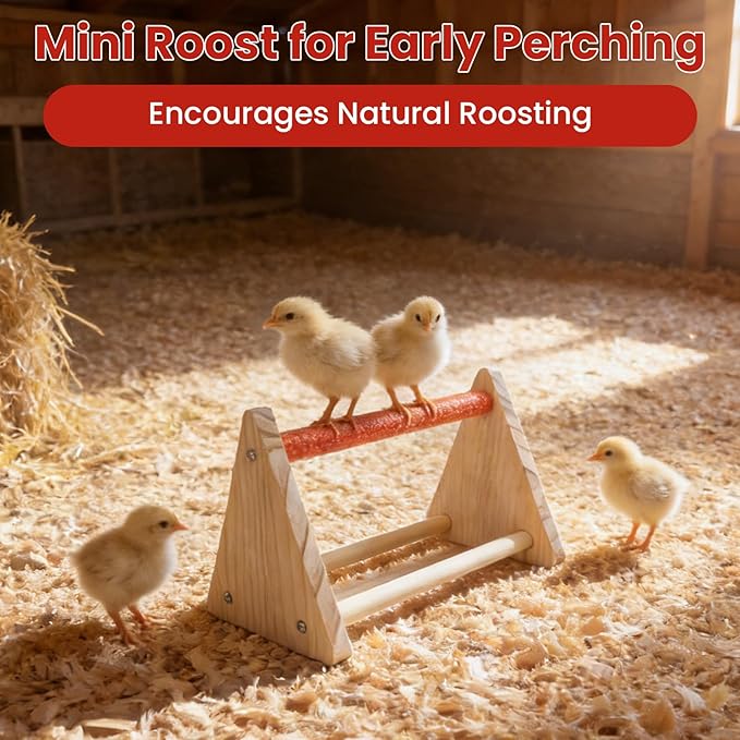 Chick Feeder & Waterer Starter Kit with 2 Trough Feeders and Roost Bar – No-Leak Baby Chick Waterer and Feeders Set for Chicks, Ducklings, Quail & Small Poultry – Essential Brooder Supplies