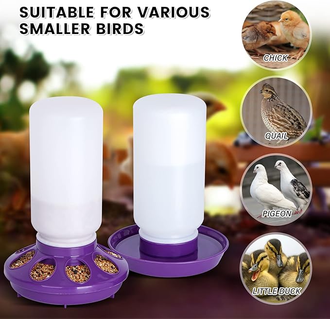 Chick Feeder and Waterer Set no Waste Chicken Water Dispenser 1L Chicken Water Feeder Poultry Waterer Baby Chick Duckling Supplies Starter Kit (Purple)