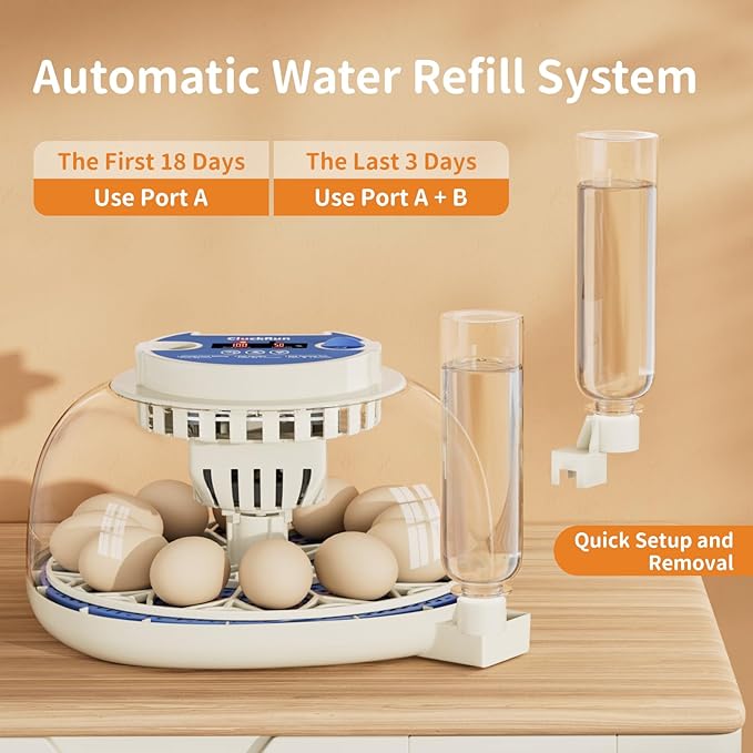 12 Egg Incubator with Temperature and Humidity Display, Automatic Egg Turning, Egg Candler, Automatic Water Refill, for Chicken, Quail & Duck Eggs, Perfect for Home, Farm, Classroom, Lab Incubators