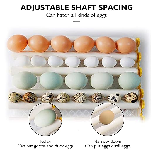 Egg Incubator,Egg Incubator with Automatic Egg Turning and Humidity Control,Poultry Hatcher for Chickens Ducks Birds (180 Eggs)
