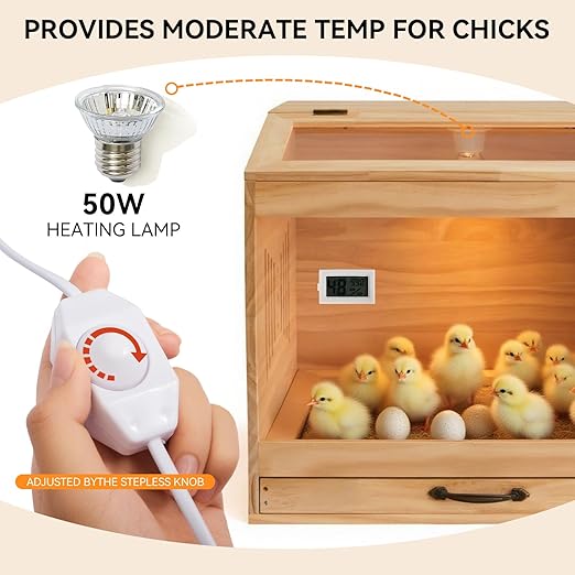 Wooden Chicken Brooder Kit & Automatic 18 Egg Incubator - Complete Poultry Raising Starter Solution, from Hatching to Brooding!