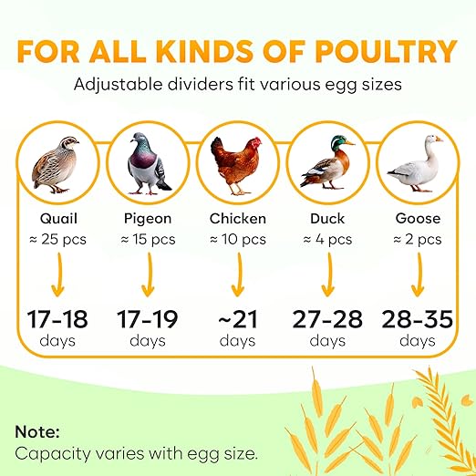 Okkobi M12 Egg Incubator with Automatic Turner and Humidity Control - 12/24 Eggs, 360° View, Easy to Use and Clean - Incubadora de Huevos de Gallina - Made for US - White & Orange