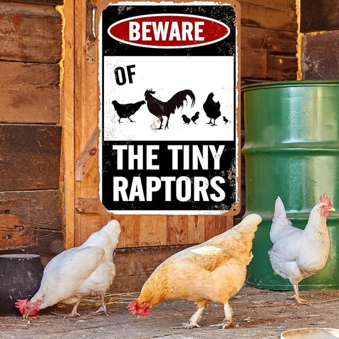Beware Of Chicken Sign Chicken Signs For Coop Funny Outdoor Chicken Coop Signs Beware Of The Tiny Raptors Sign Chicken Coop Accessories Funny Warning Sign For Chickens Chicken Coop Decor 8x12 Inch