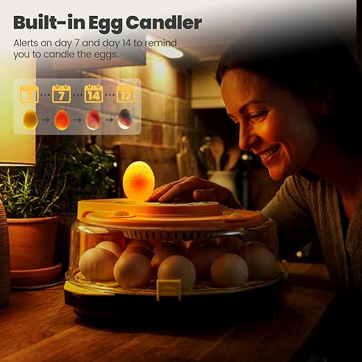 Incubators for Hatching Eggs -15-Egg Automatic Egg Chick Incubator with 5 Smart Preset Modes and Egg Turning, Digital Control Incubator for Chicken Duck Quail