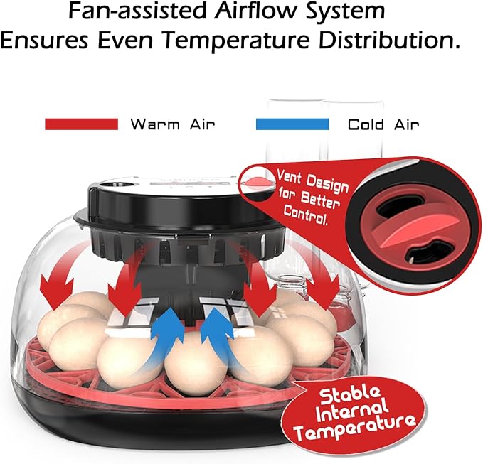 Smart Chicken Incubators for Hatching Eggs with Automatic Turner Small Poultry Duck Quail 12 Egg Incubator Temperature Control Display Hatcher Machine (M12 Pro)