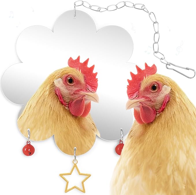 Chicken Mirror Toy for Coop Hens Chicks Hanging Accessories with Bell