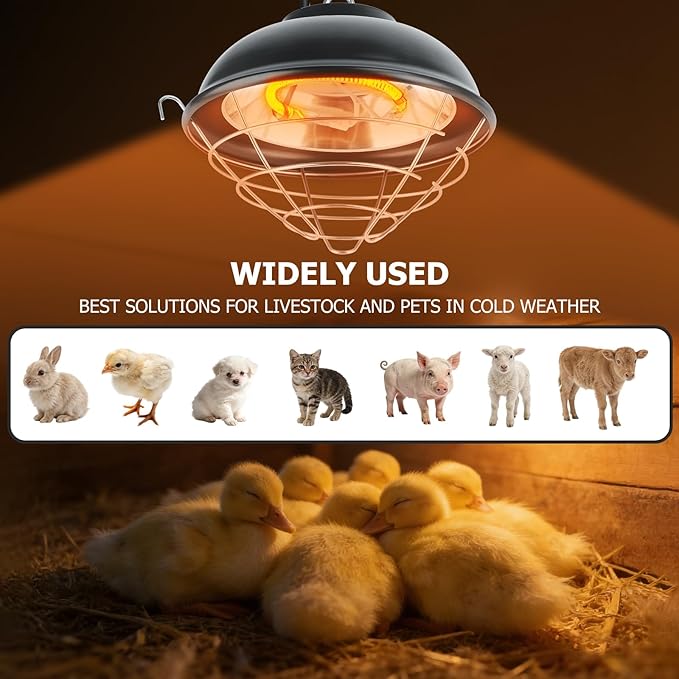 350W Heat Lamp for Chickens - Carbon Fiber Chicken Coop Heater, Hanging Chicks Brooder Heaters 2 Heating Levels, 5.6 Ft Cord Waterproof Chicken Heat Lamp for Poultry Pets & Outdoor Used