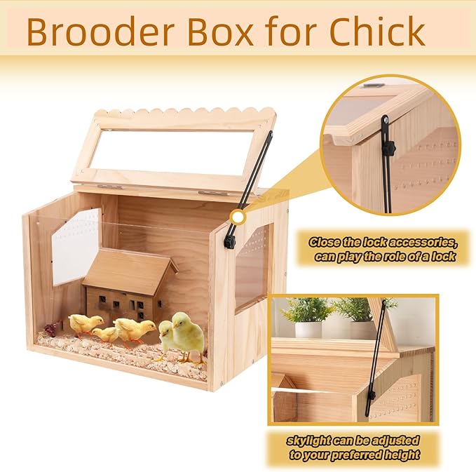Chick Brooder Box,Large Brooder Box for Chicks,32" L x 16 W x 42 H, 10-15 Chicks, Chicken coop,Quail cage,Quail coop,Measures Approximately.