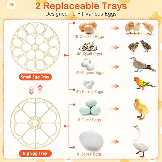 18 Egg Incubators for Hatching Eggs, Automatic Egg Turning and Humidity Control Incubator for Hatch Chicken Duck Quail Pigeon Pheasant Partridge Home Classroom Lab-