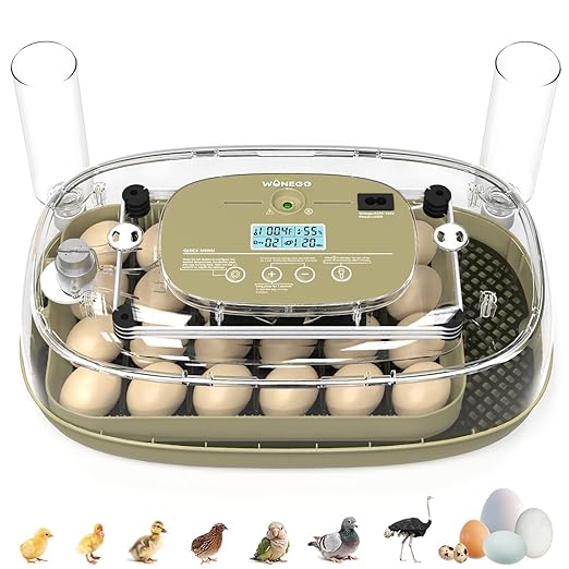 Incubator for Hatching Eggs,Automatic Turning,Temperature and Humidity Control Display, 360° Viewing for Chicken, Duck, Quail Eggs, Perfect for Farm, Classroom, Home Use,24 Egg Incubators