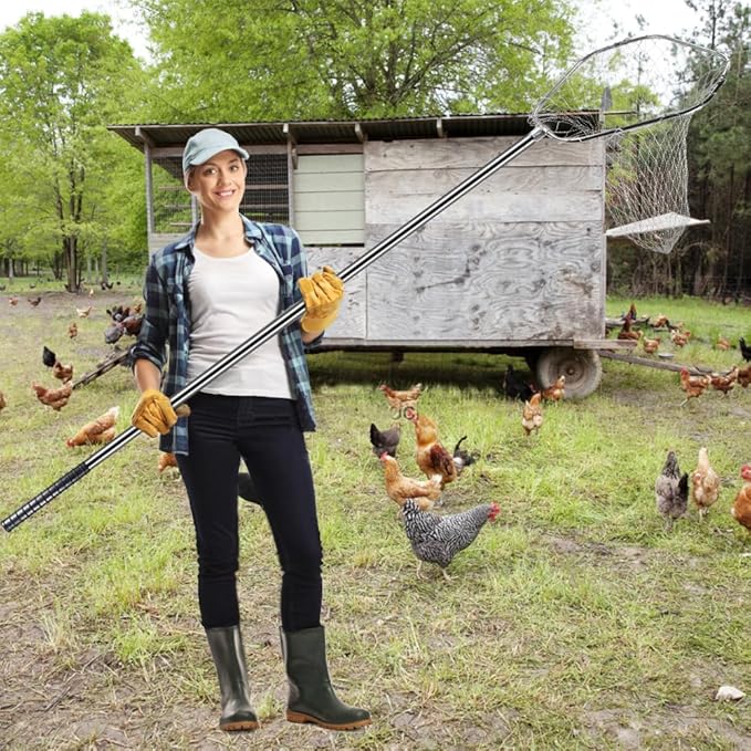 Chicken Catching Net, 32" to 80" 201 Stainless Steel Poultry Catcher Adjustable Handle with Animal Capture Net for Catching Chicken, Ducks, Bird, Dog, Cat, Fish (Included 2 Nets, 1 Pole)