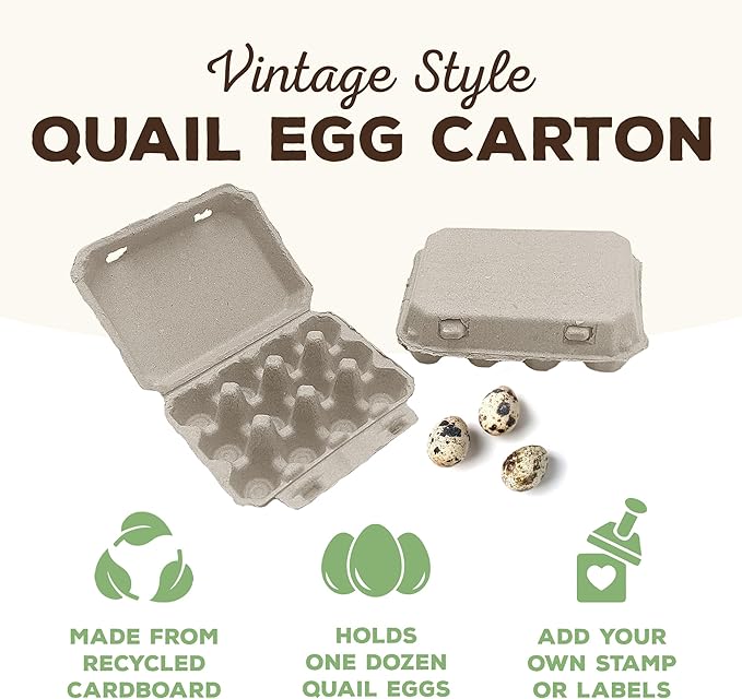 Henlay Quail Egg Cartons - Recycled Cardboard Paper Pulp 3x4 Square Style - Holds One Dozen Quail Eggs- Bulk (144)