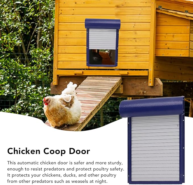 Automatic Solar Powered Chicken Coop Door with Light Sensing and Timer, Metal Iron Auto Chicken House Protection Door for Duck Goose, Remote Control, with LED Clear Dosplay (Blue)